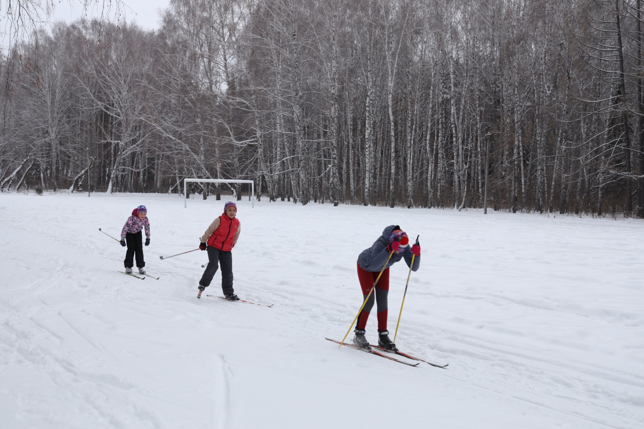 Каменск-уральский березовая роща лыжная база. Первенство школы по лыжным гонкам. Березовая роща лыжи. Берёзовая роща каменск-уральский. Лыжная база березовая роща.